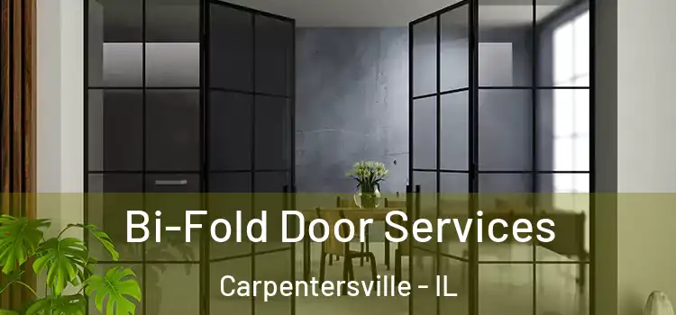 Bi-Fold Door Services Carpentersville - IL