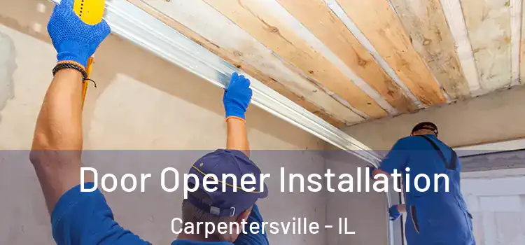 Door Opener Installation Carpentersville - IL