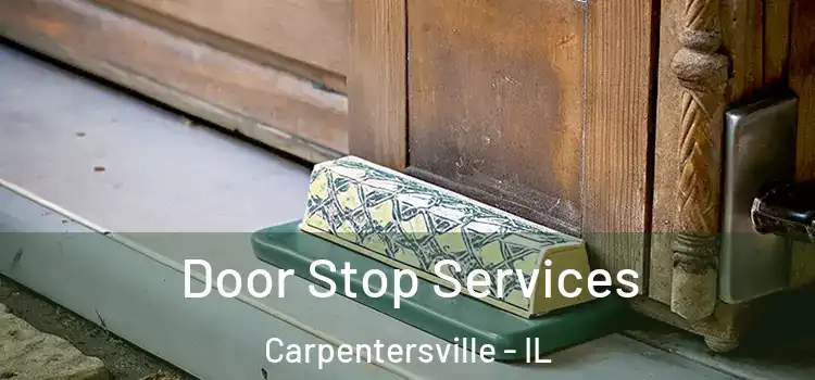 Door Stop Services Carpentersville - IL