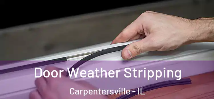 Door Weather Stripping Carpentersville - IL
