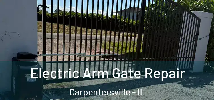 Electric Arm Gate Repair Carpentersville - IL