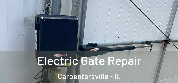 Electric Gate Repair Carpentersville - IL