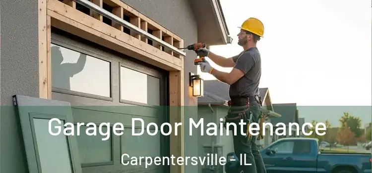 Garage Door Maintenance Carpentersville - IL