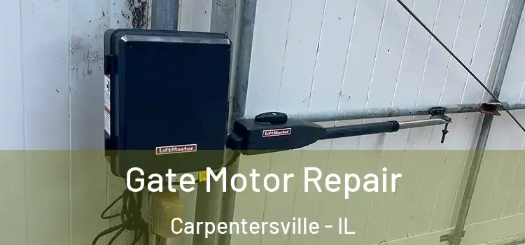 Gate Motor Repair Carpentersville - IL