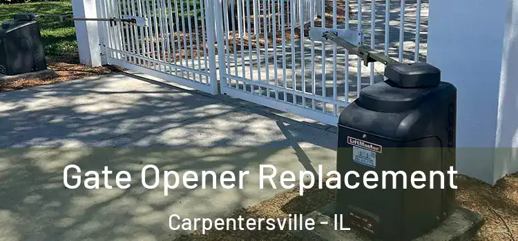 Gate Opener Replacement Carpentersville - IL
