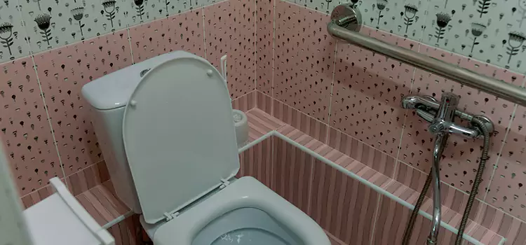 Meeting Diverse Needs With Accessible Restroom Solutions in Carpentersville, IL