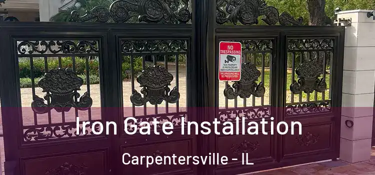Iron Gate Installation Carpentersville - IL