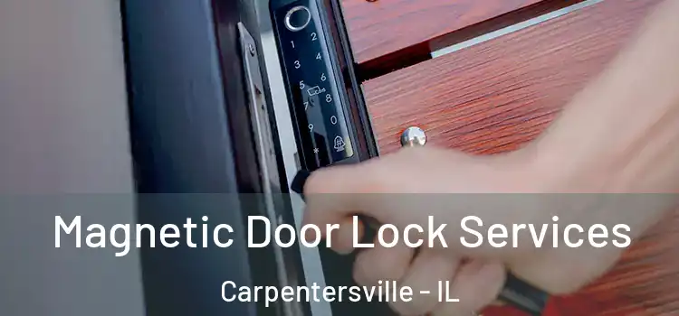 Magnetic Door Lock Services Carpentersville - IL