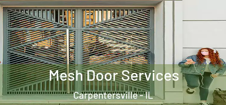 Mesh Door Services Carpentersville - IL