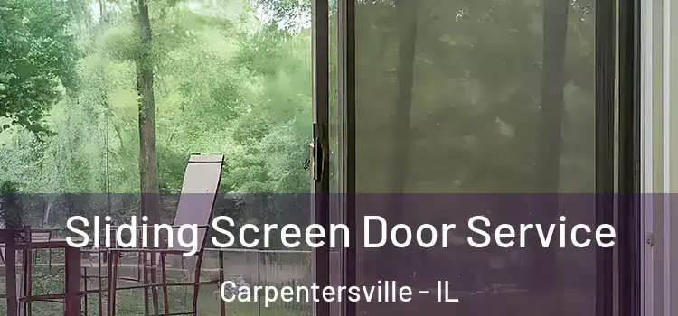 Sliding Screen Door Service Carpentersville - IL